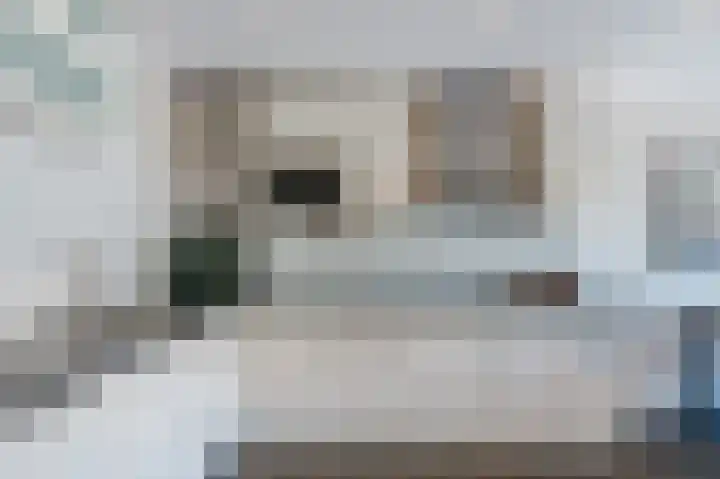 Muijeveld 47 Vinkeveen thumbnail 12