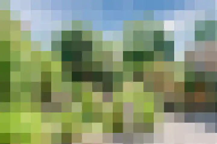 Muijeveld 47 Vinkeveen thumbnail 44
