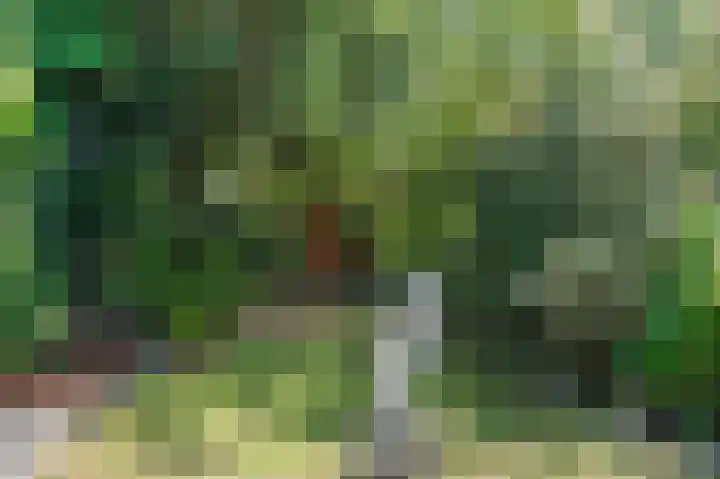 Muijeveld 47 Vinkeveen thumbnail 45