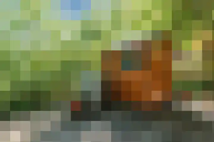 Muijeveld 47 Vinkeveen thumbnail 47