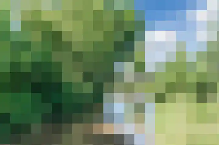 Muijeveld 47 Vinkeveen thumbnail 51