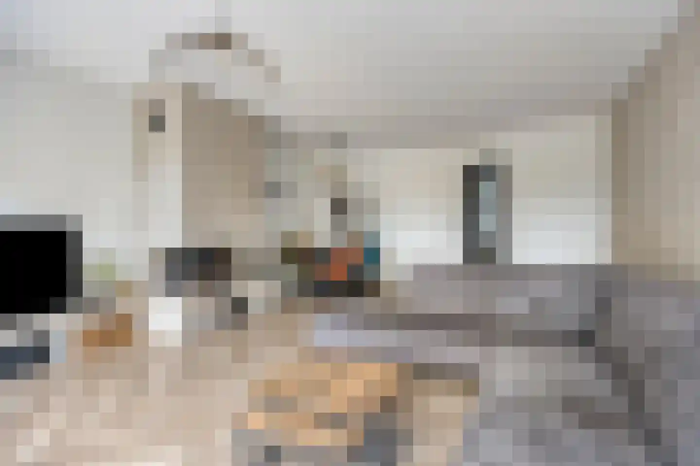 Muijeveld 9 Vinkeveen thumbnail 11