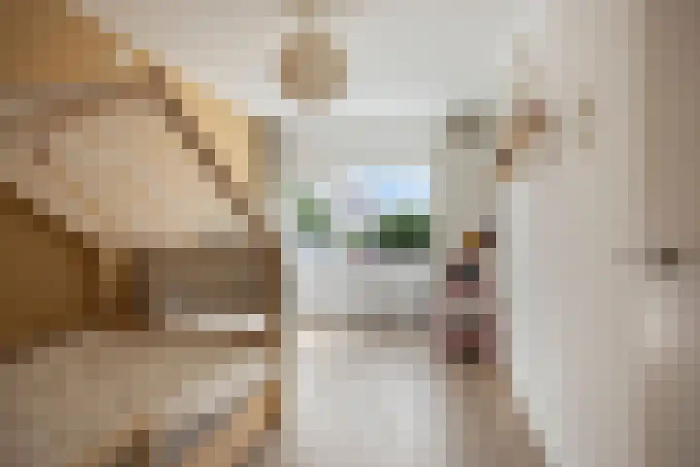 Muijeveld 9 Vinkeveen thumbnail 25