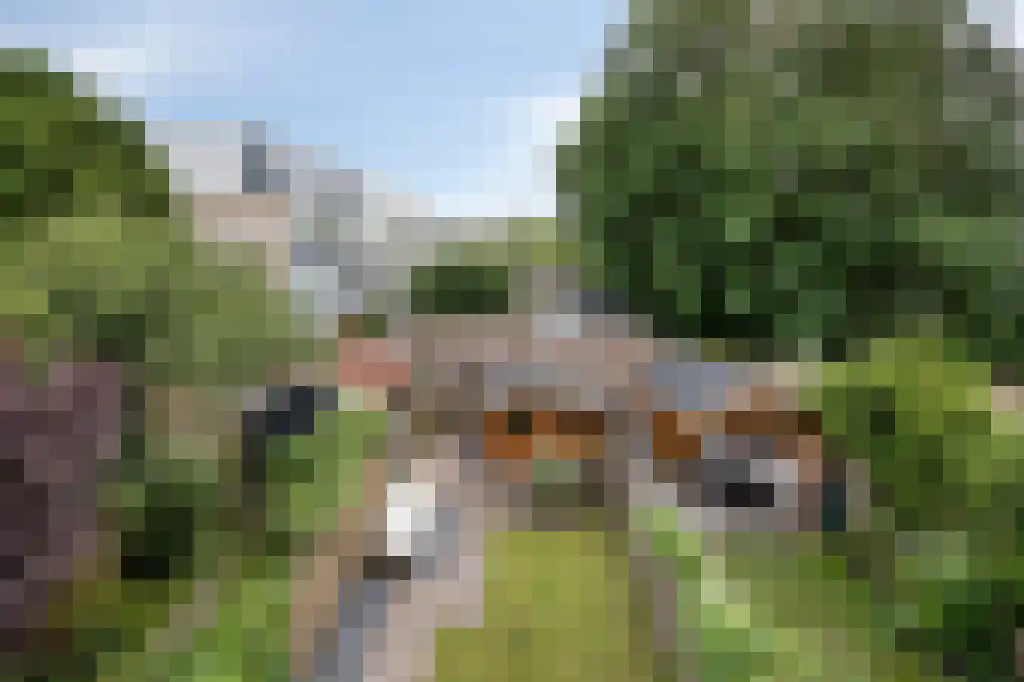 Muijeveld 9 Vinkeveen thumbnail 37