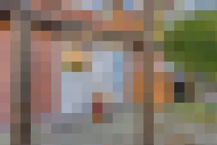 Muijhof 30 Berkel en Rodenrijs thumbnail 4