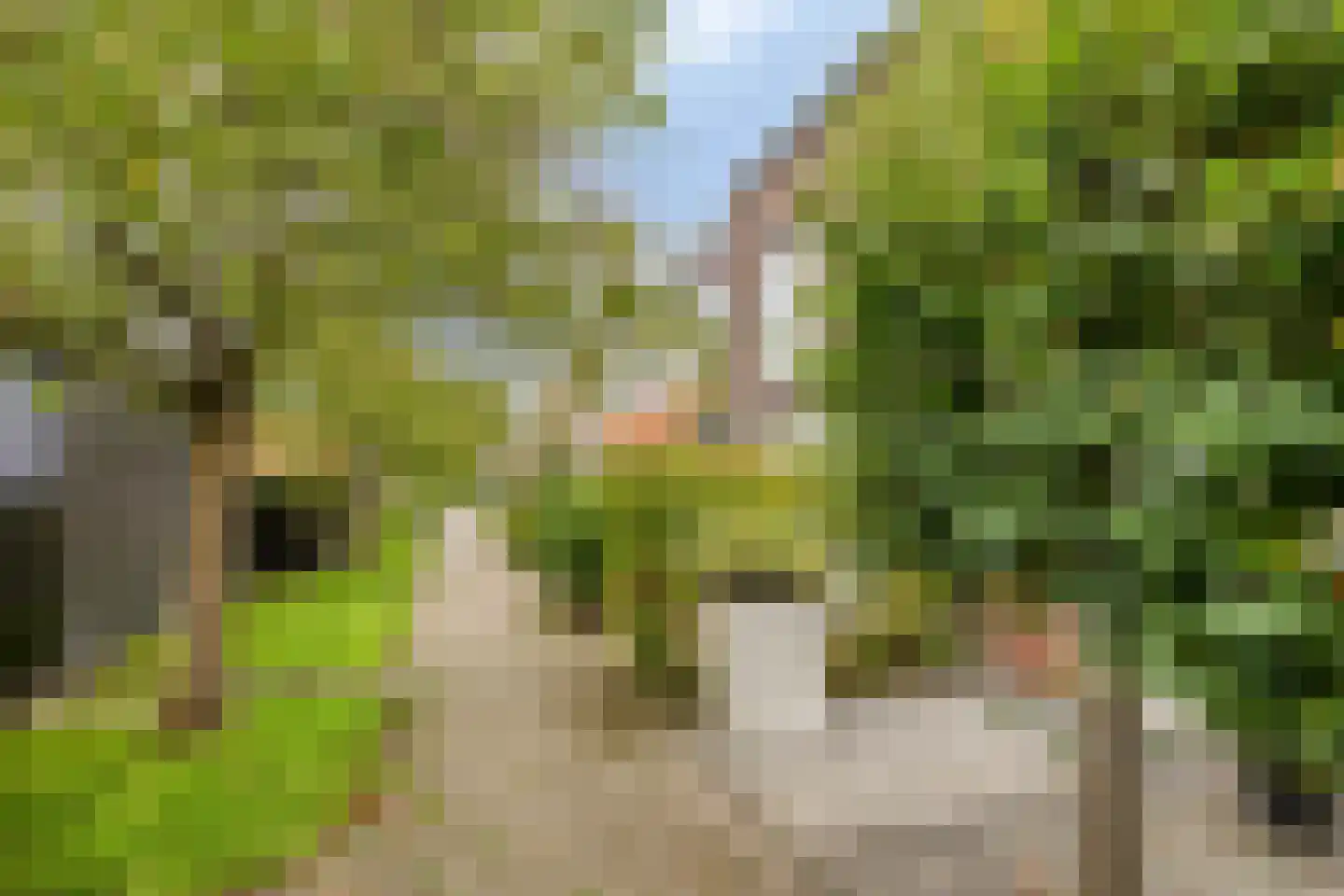 Muijhof 32 Berkel en Rodenrijs thumbnail 33