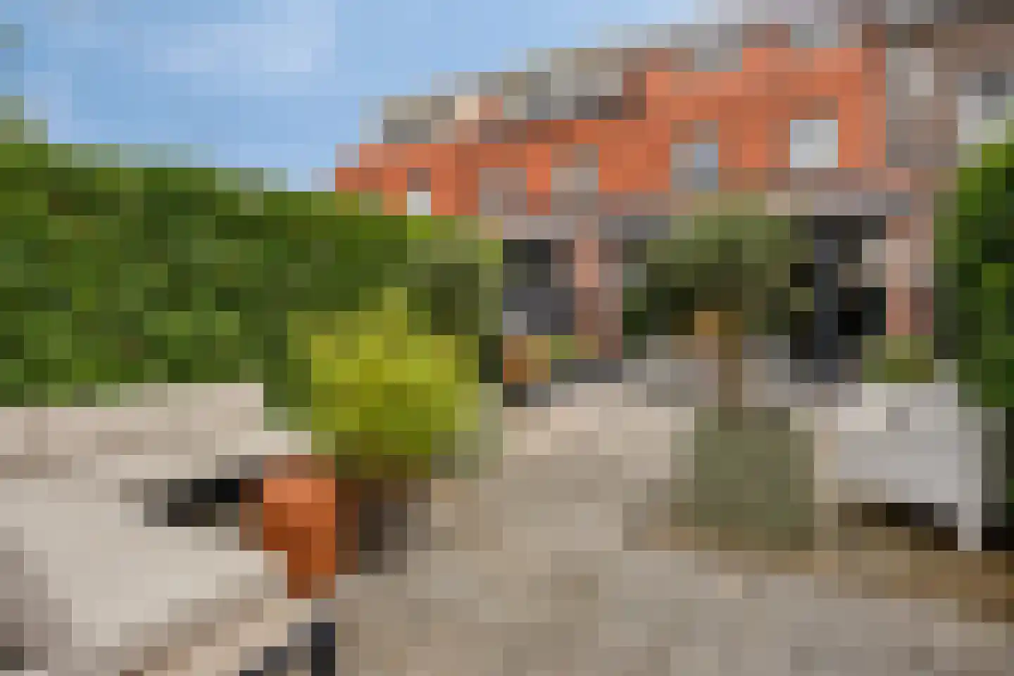 Muijhof 32 Berkel en Rodenrijs thumbnail 5