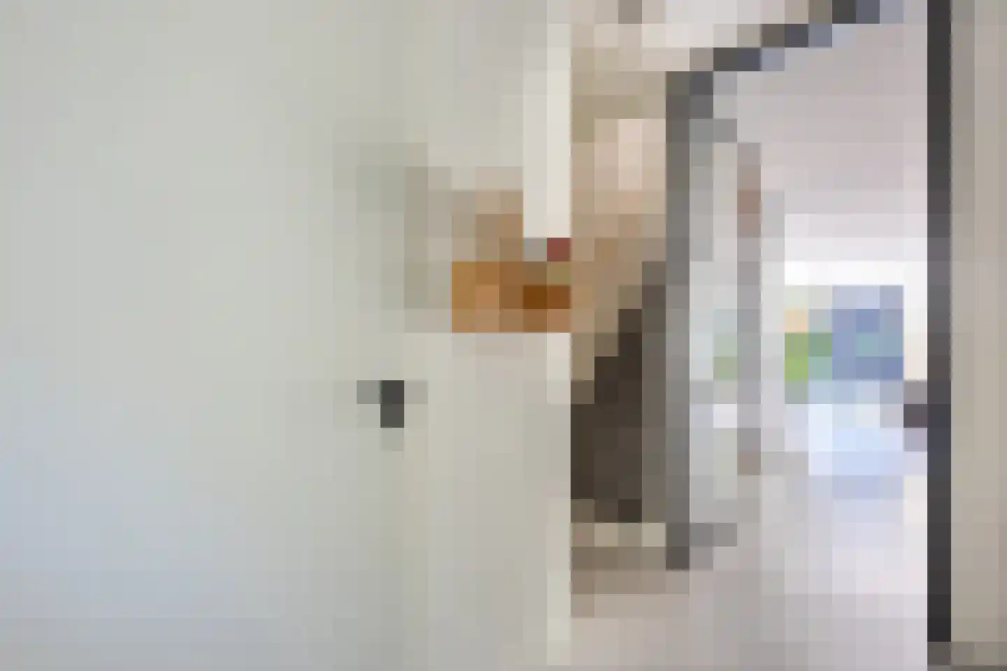 Muijhof 32 Berkel en Rodenrijs thumbnail 7
