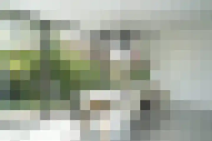 Muilkerk 14 Dussen thumbnail 15