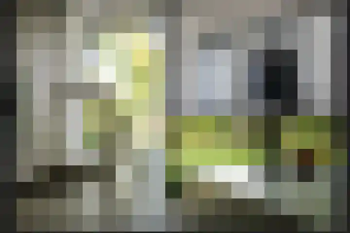 Muilkerk 14 Dussen thumbnail 18