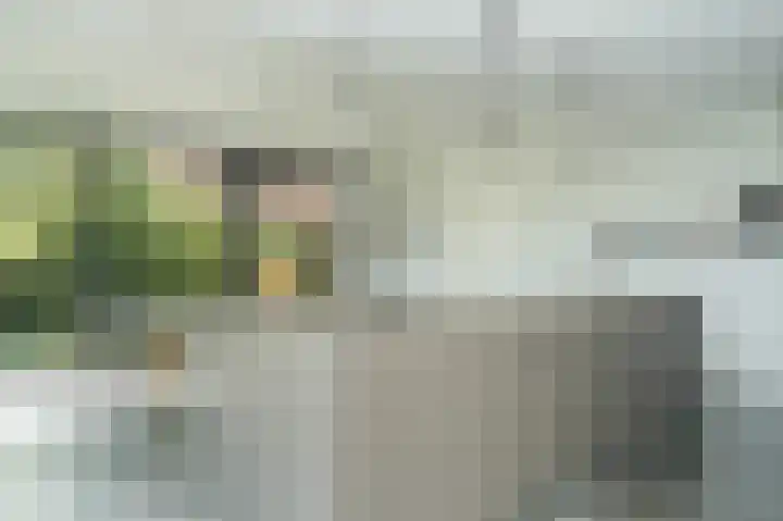 Muilkerk 14 Dussen thumbnail 19