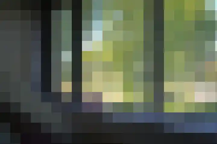 Muilkerk 14 Dussen thumbnail 28