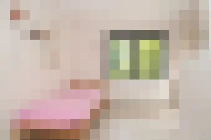 Muilkerk 14 Dussen thumbnail 38