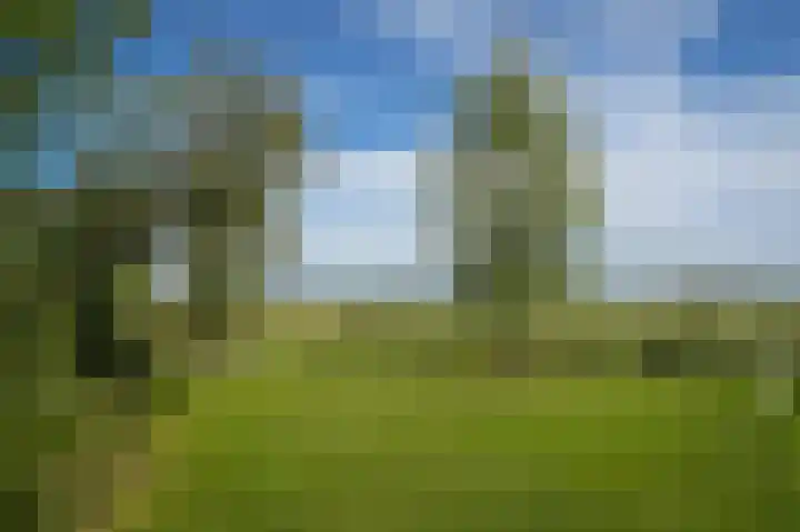 Muilkerk 14 Dussen thumbnail 54