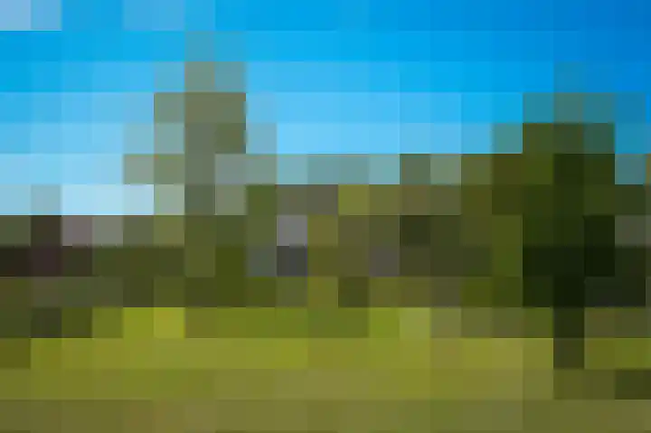 Muilkerk 14 Dussen thumbnail 56