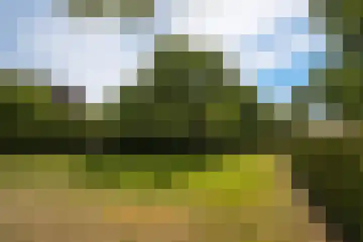 Muilkerk 14 Dussen thumbnail 66