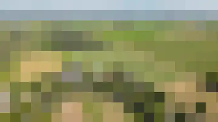 Muilkerk 14 Dussen thumbnail 70