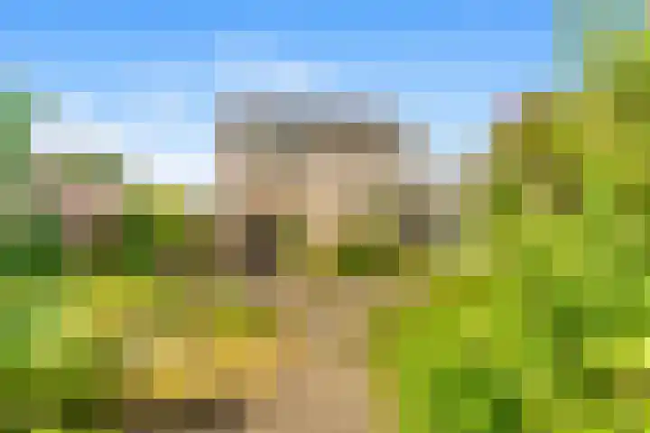 Muilmanslaan 9 Heemskerk thumbnail 21