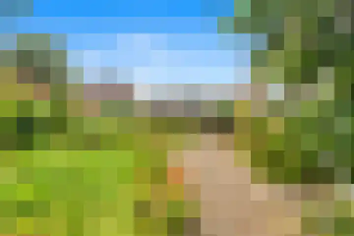 Muilmanslaan 9 Heemskerk thumbnail 24