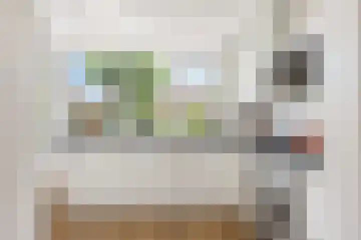 Muilmanslaan 9 Heemskerk thumbnail 7