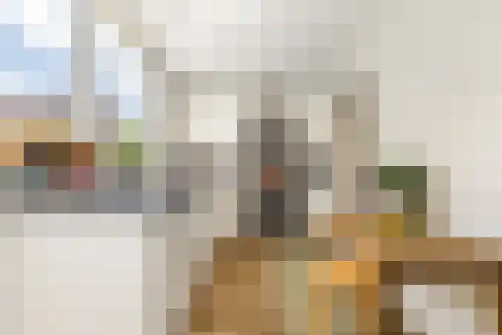 Muilmanslaan 9 Heemskerk thumbnail 8