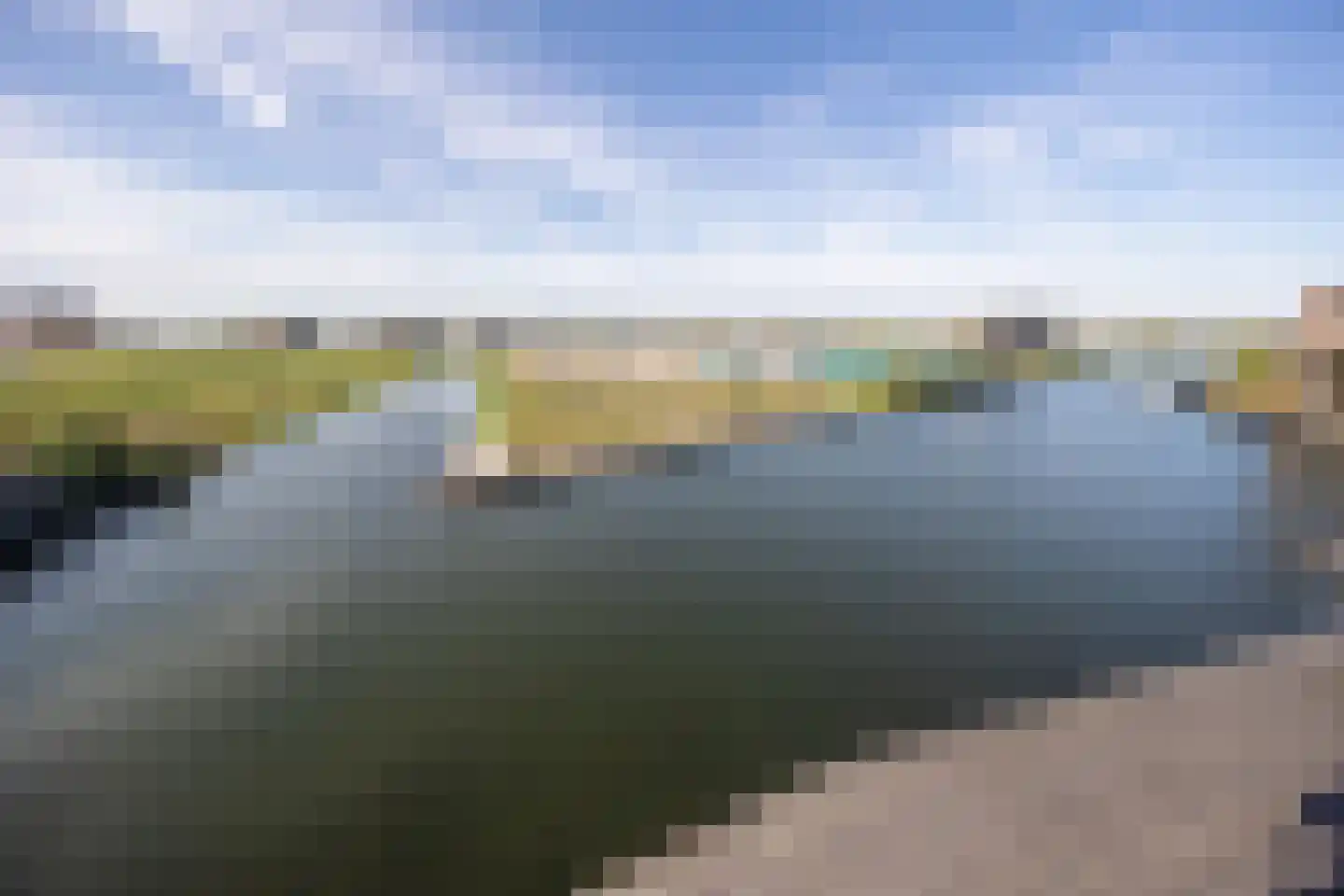 Muiltje 15 Zeewolde thumbnail 15