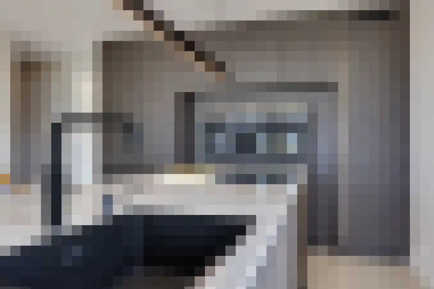 Muiltje 15 Zeewolde thumbnail 20