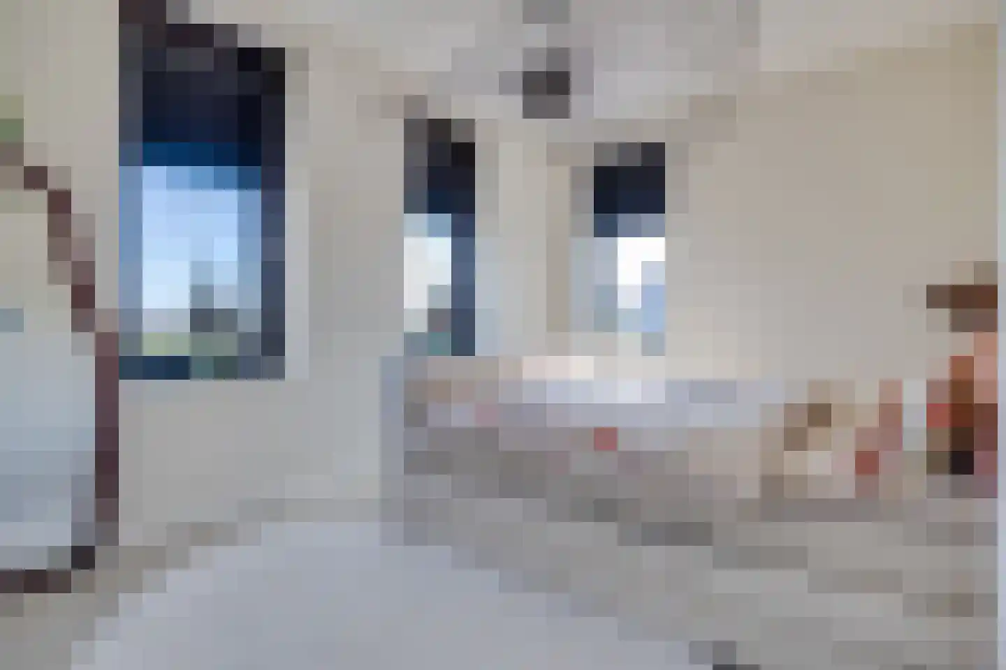 Muiltje 15 Zeewolde thumbnail 23