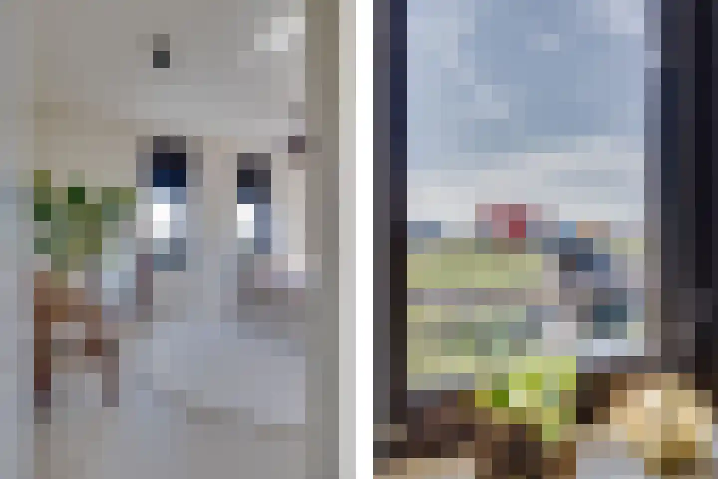 Muiltje 15 Zeewolde thumbnail 28