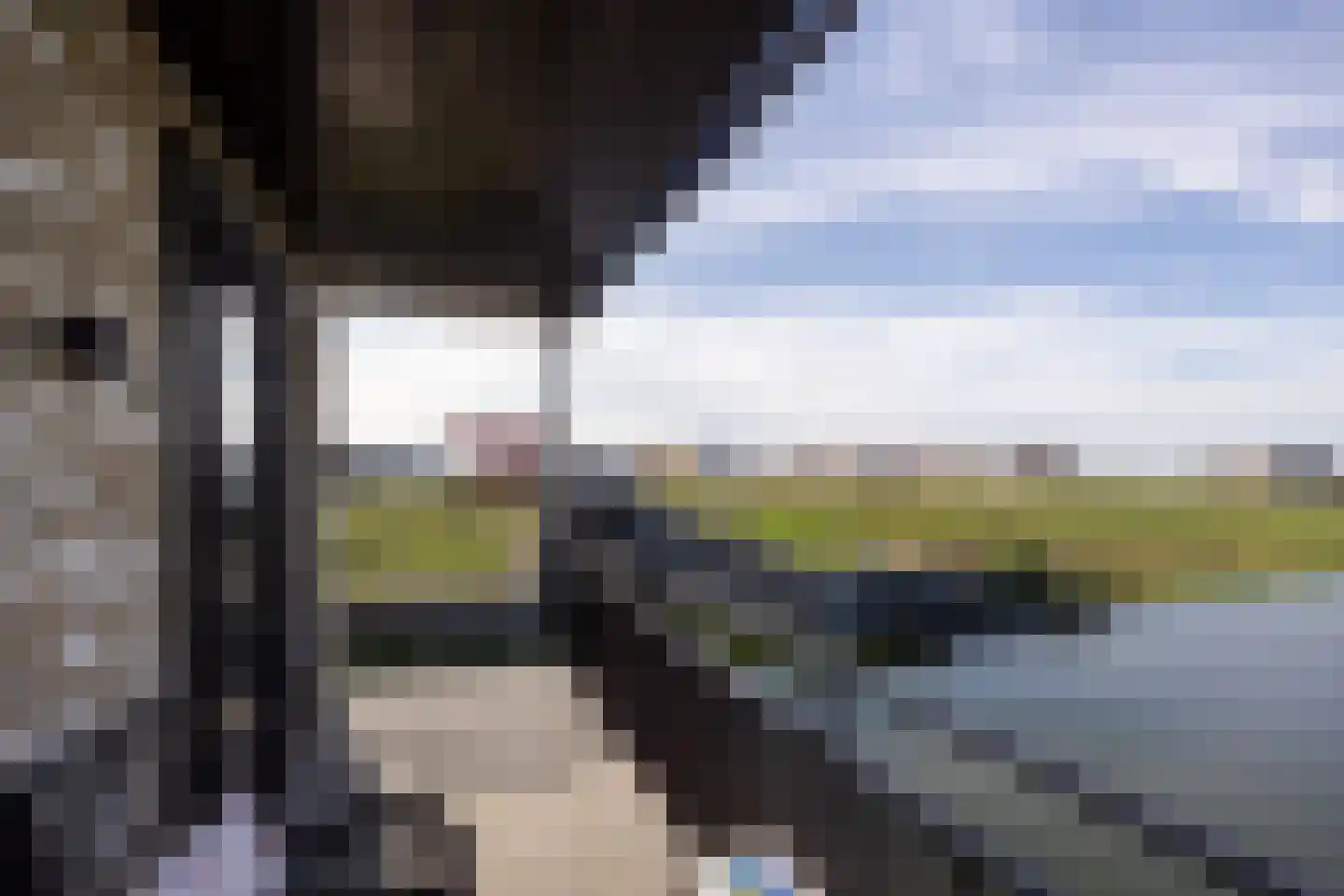 Muiltje 15 Zeewolde thumbnail 31