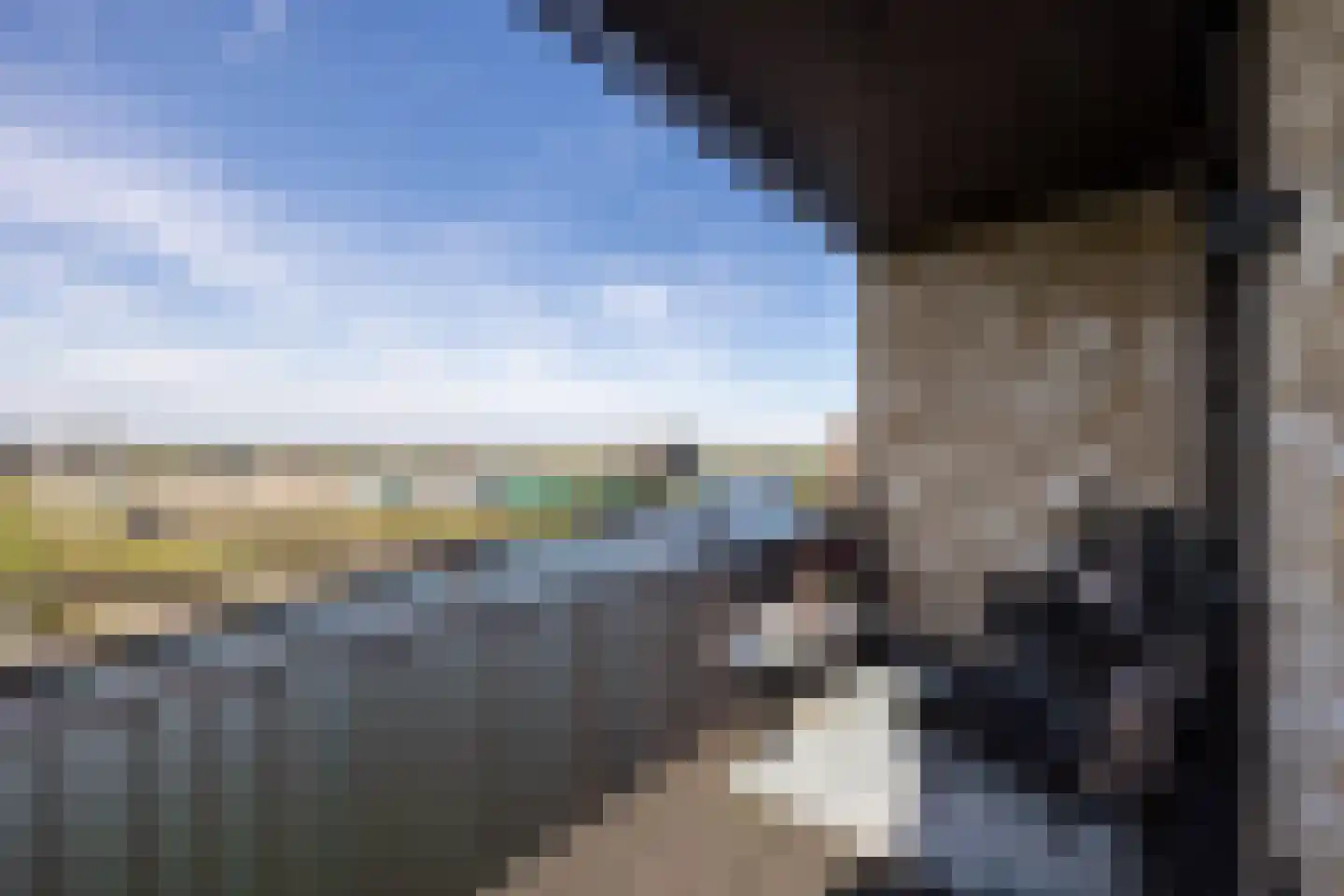 Muiltje 15 Zeewolde thumbnail 32