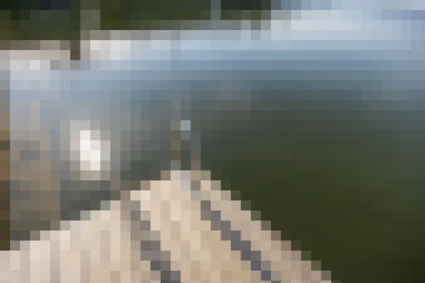 Muiltje 15 Zeewolde thumbnail 34