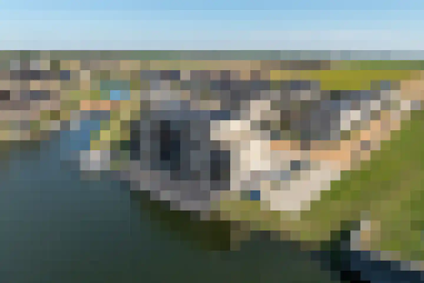 Muiltje 15 Zeewolde thumbnail 46