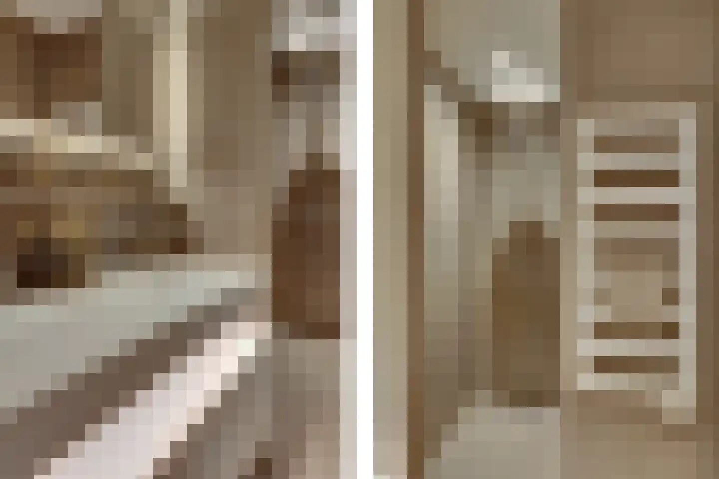 Muiltje 15 Zeewolde thumbnail 8