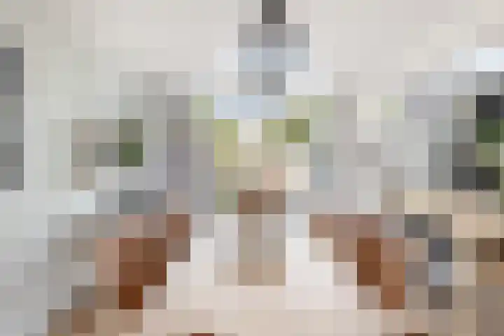 Muilwijckstraat 15 Papendrecht thumbnail 16
