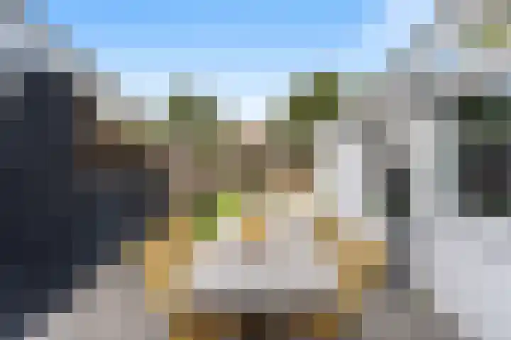Muilwijckstraat 15 Papendrecht thumbnail 17