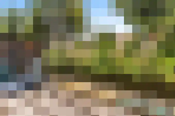 Muilwijckstraat 15 Papendrecht thumbnail 23