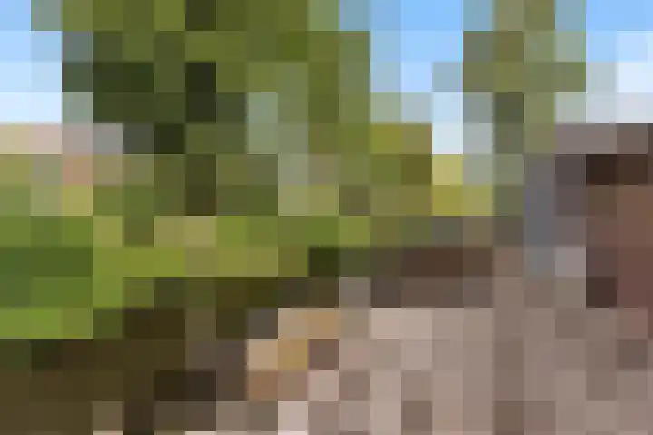Muilwijckstraat 15 Papendrecht thumbnail 24