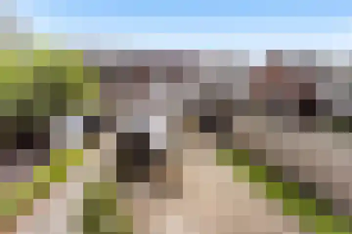 Muilwijckstraat 15 Papendrecht thumbnail 26