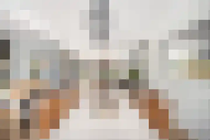 Muilwijckstraat 15 Papendrecht thumbnail 29