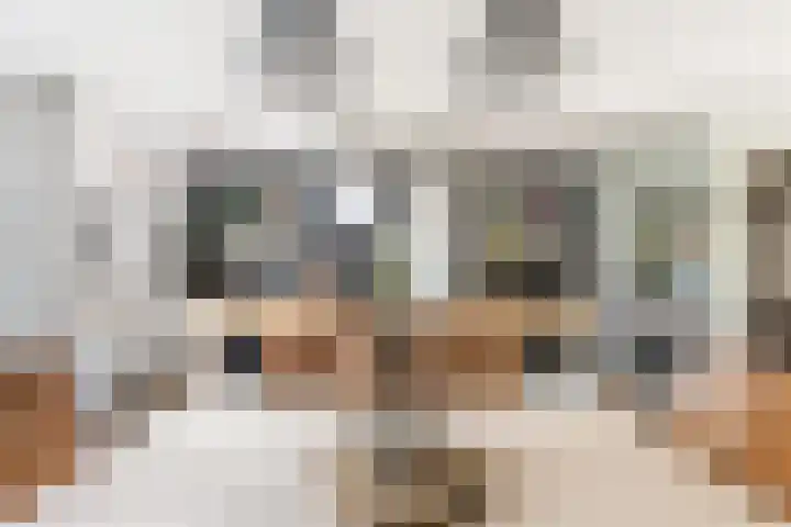 Muilwijckstraat 15 Papendrecht thumbnail 30