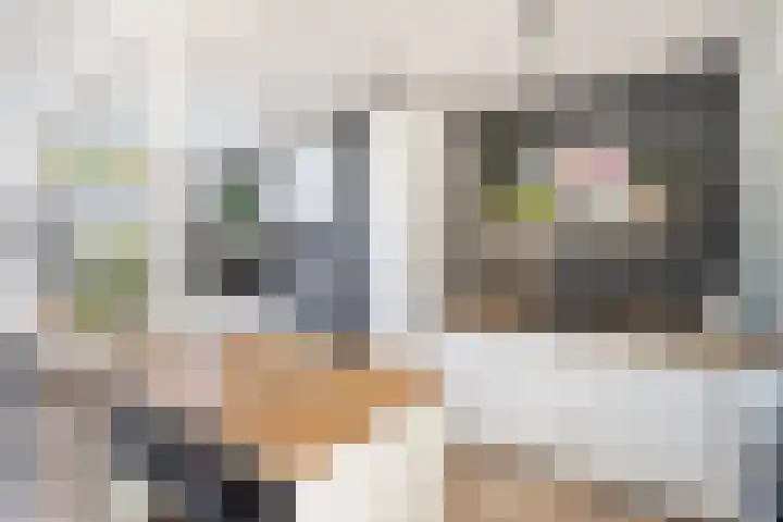 Muilwijckstraat 15 Papendrecht thumbnail 32