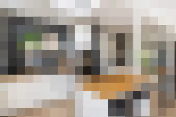 Muilwijckstraat 15 Papendrecht thumbnail 34