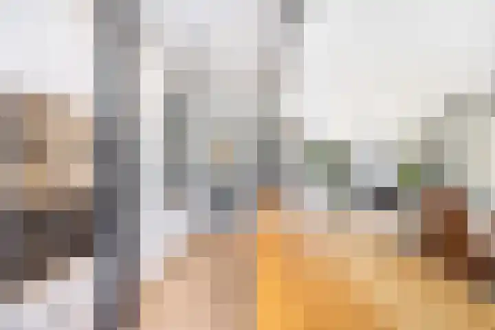 Muilwijckstraat 15 Papendrecht thumbnail 35