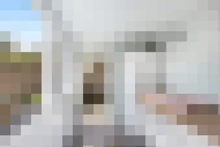 Muilwijckstraat 15 Papendrecht thumbnail 37