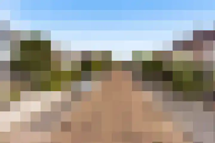 Muilwijckstraat 15 Papendrecht thumbnail 4