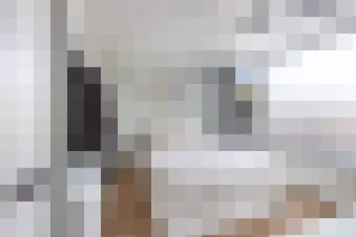 Muilwijckstraat 15 Papendrecht thumbnail 42