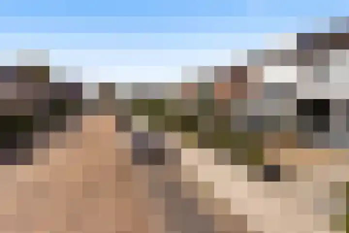 Muilwijckstraat 15 Papendrecht thumbnail 5