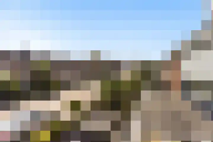 Muilwijckstraat 15 Papendrecht thumbnail 53