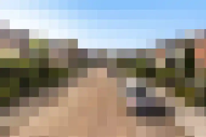 Muilwijckstraat 15 Papendrecht thumbnail 6